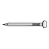 Zoro Tools Box Nail, Galvanized, Flat, 6d 2