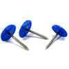 Mazel 1242134 Plastic Cap Nails - 1 3/4