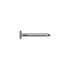 Mazel 1350502 Ieg Roofing Nails 50# 2in.