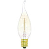 Satco Products S2418 Vintage Light Bulb